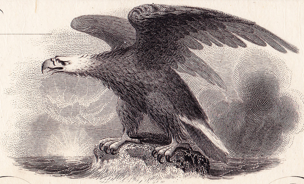 Detail of eagle vignette. 